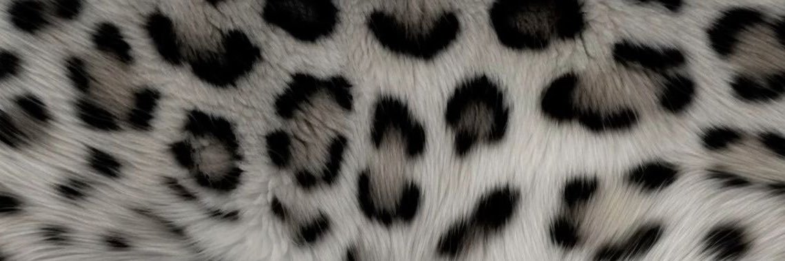IKATSCRISS's profile banner image