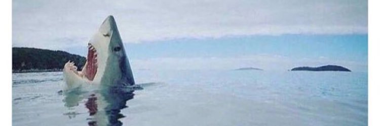 FDBarsy's profile banner image