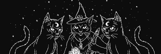 NiceNicems's profile banner image