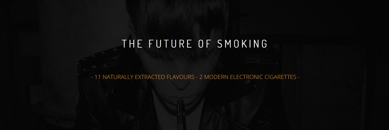 Electrostix banner
