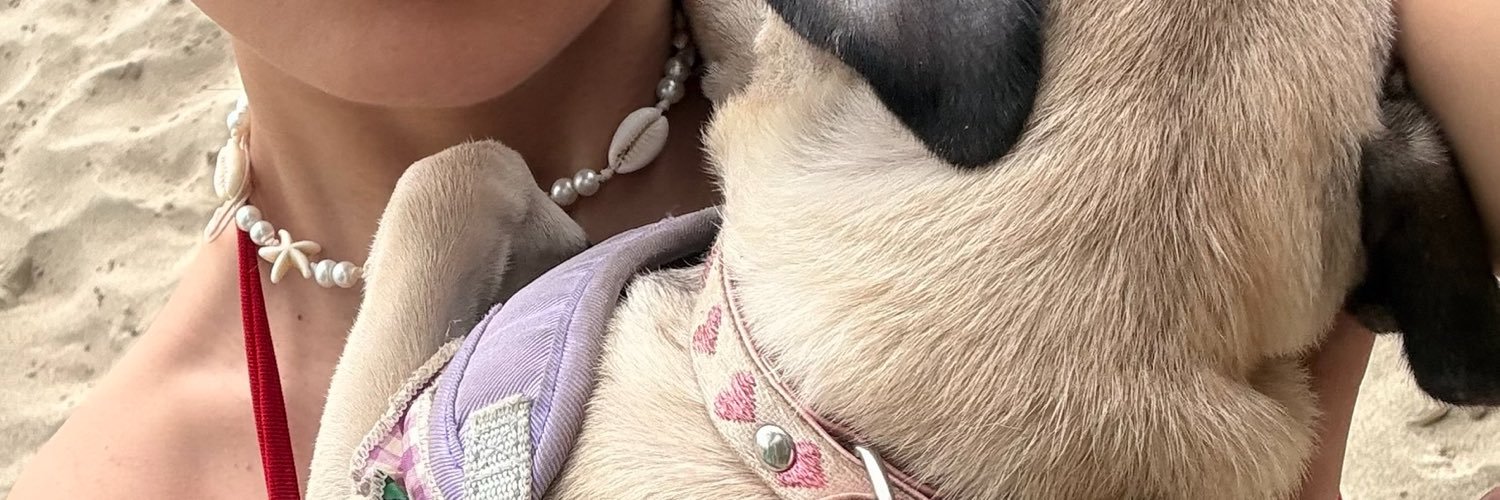 camiibet's profile banner image