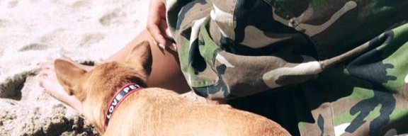 Camigatti's profile banner image