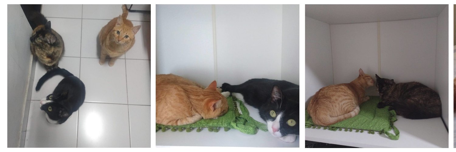 Rafael Oliveira banner