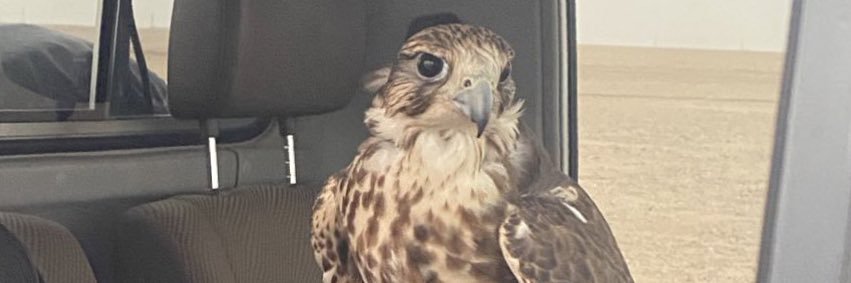 lm_7aa's profile banner image