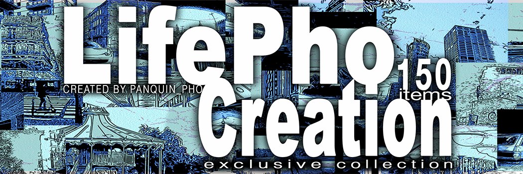 panquin_pho | ❤️ Memecoin banner