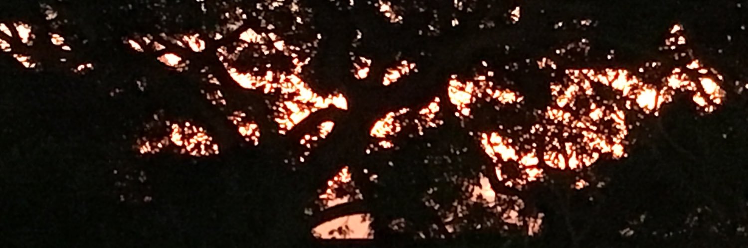 OriginalVander's profile banner image