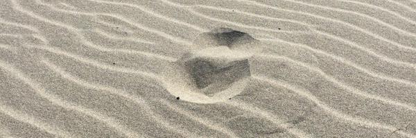 tonyta Profile Banner