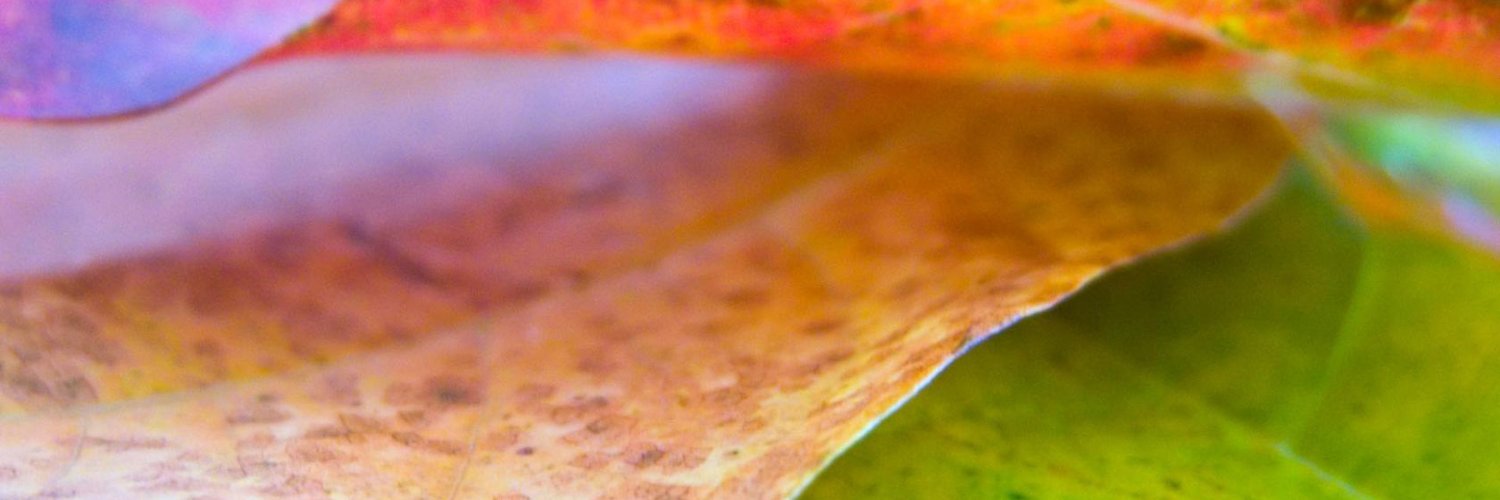 RobbinGoodd's profile banner image