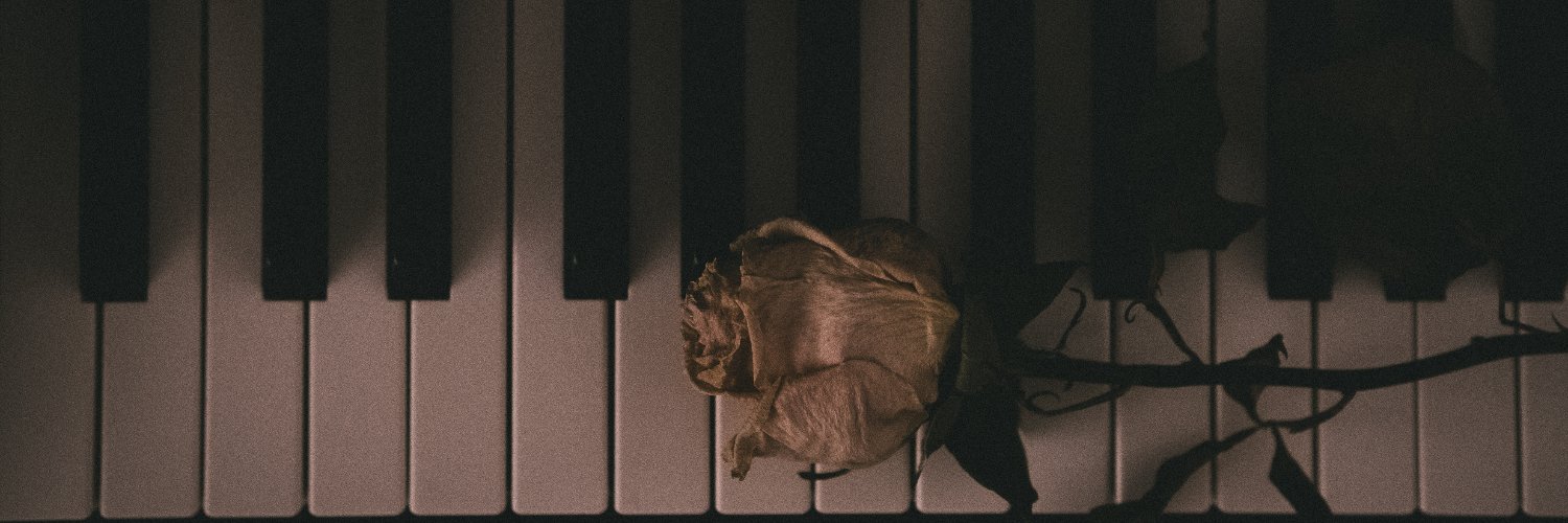 xaviercastleton's profile banner image