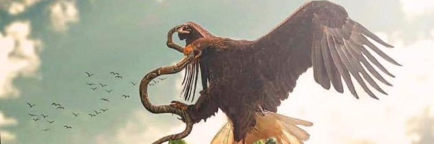 AdnPerdomo4's profile banner image