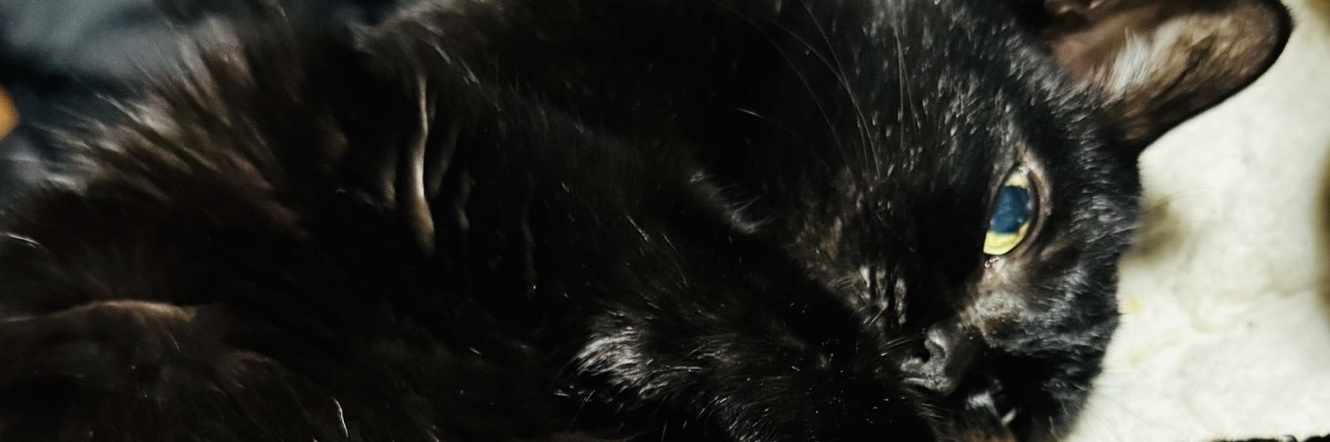 ちーち🐉(激務の為返事が遅くなります)'s banner