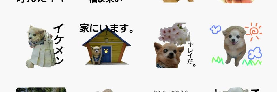 attan_tan25's profile banner image