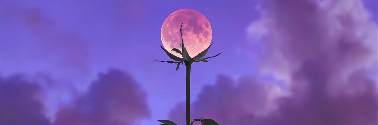 54shagua's profile banner image