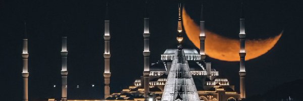 Borsamod1 Profile Banner