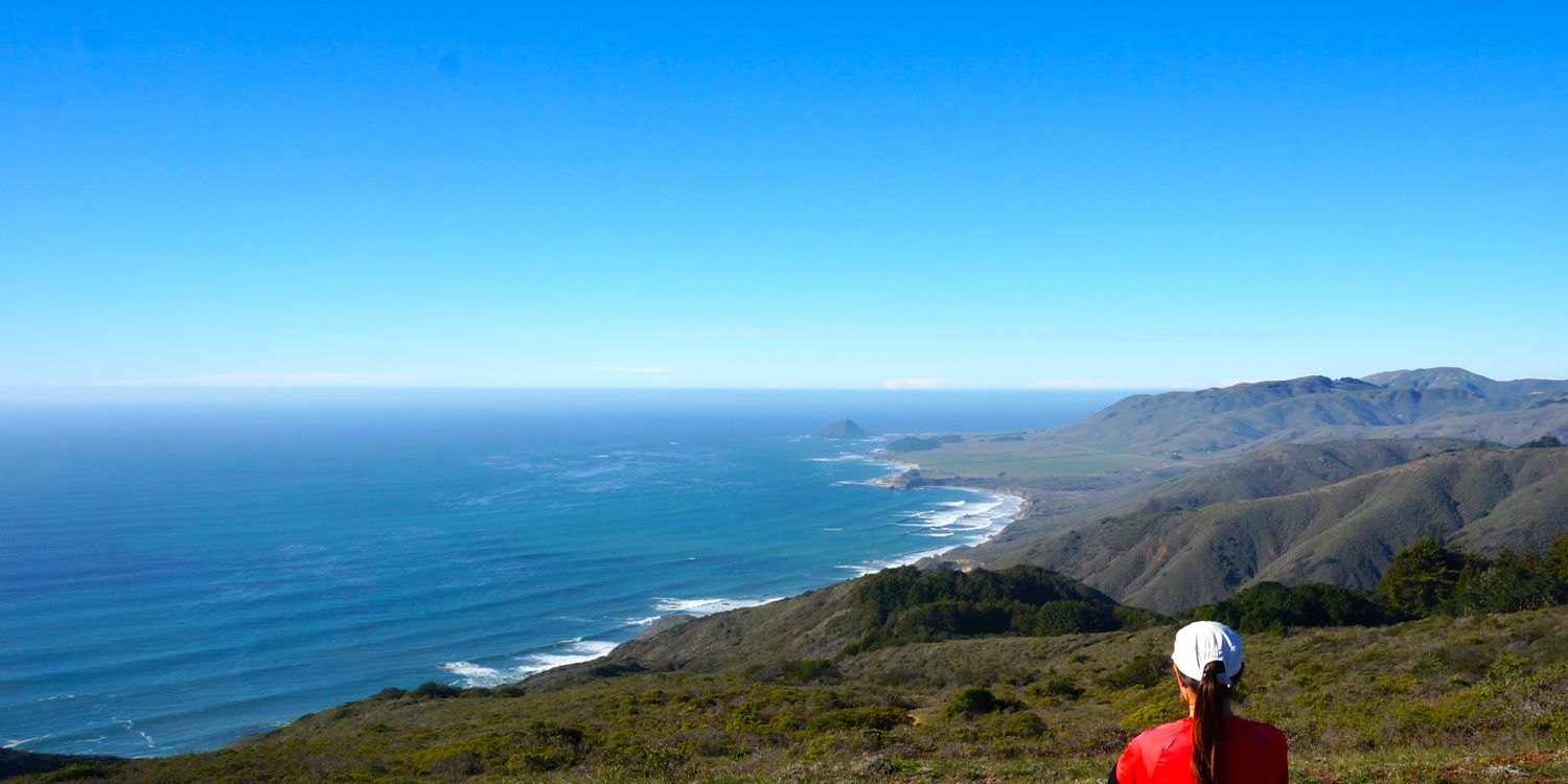 sonialfajardo's profile banner image