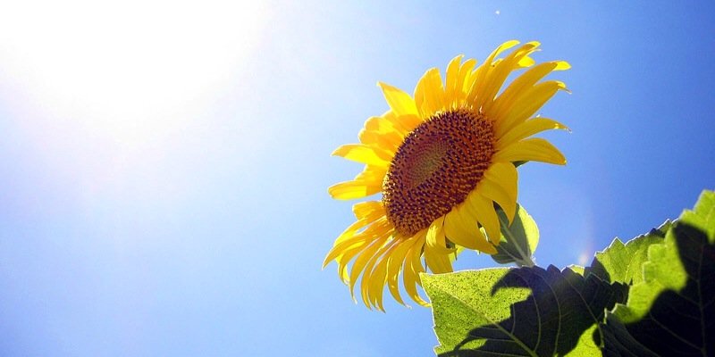72ksmile's profile banner image