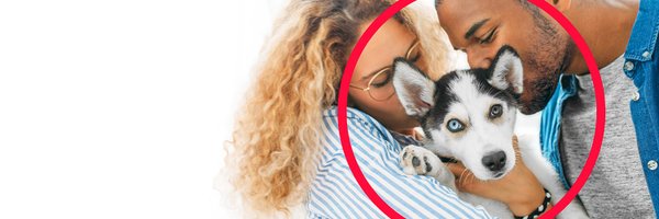 PetSmart Profile Banner