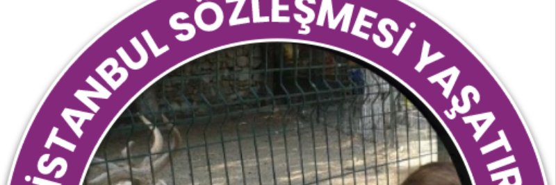 megimeli's profile banner image