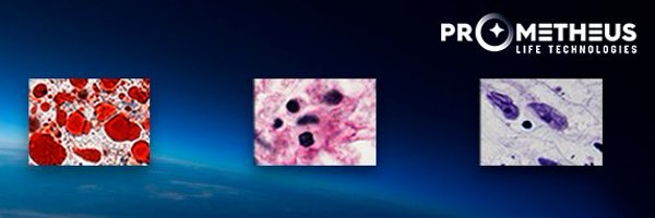 plt_bio Profile Banner