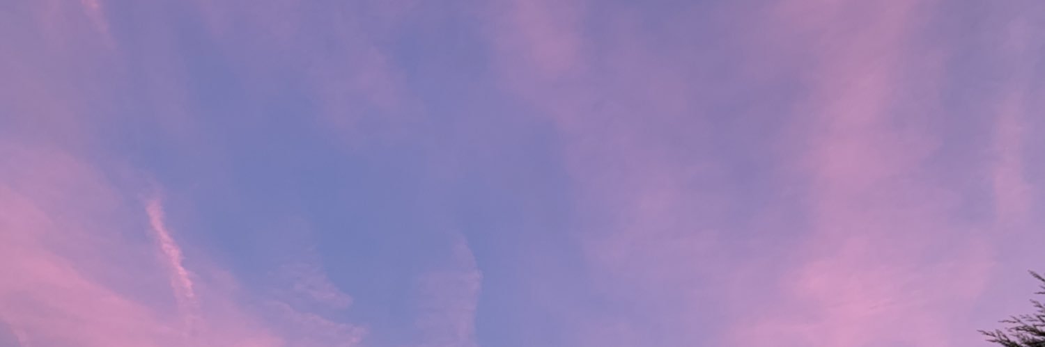 Sassoflou's profile banner image