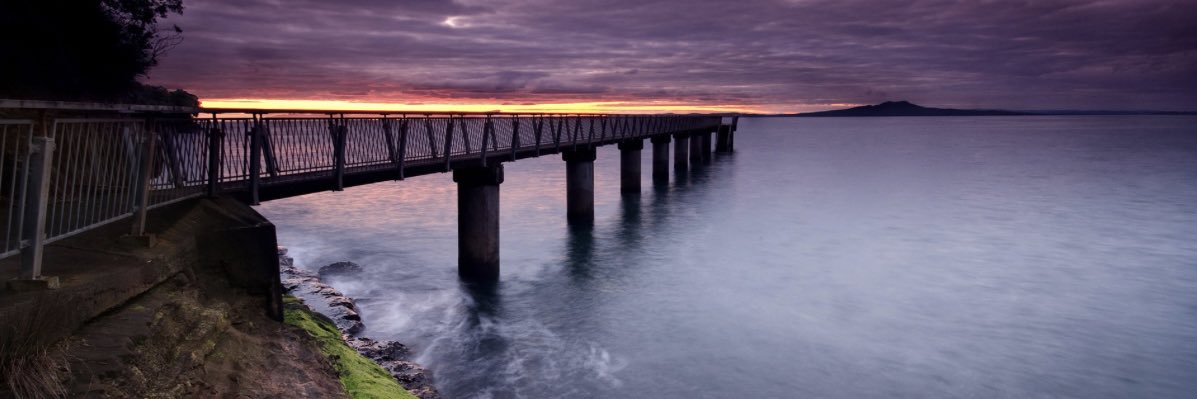 北方領土ニャース banner