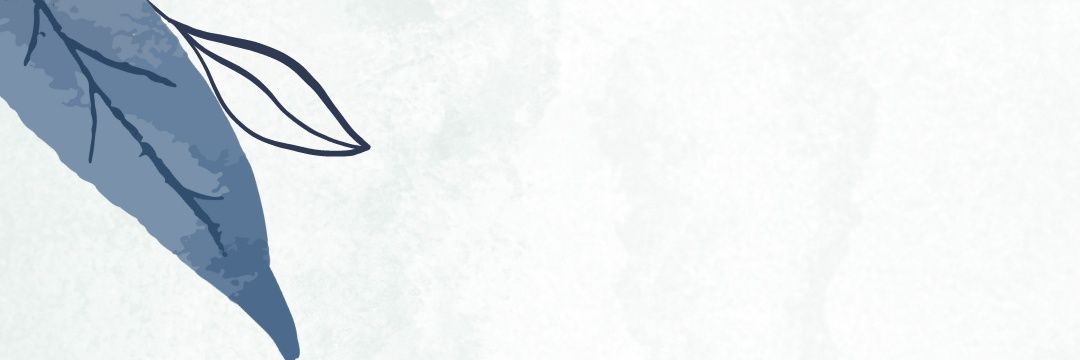 WEDDINGFESS banner