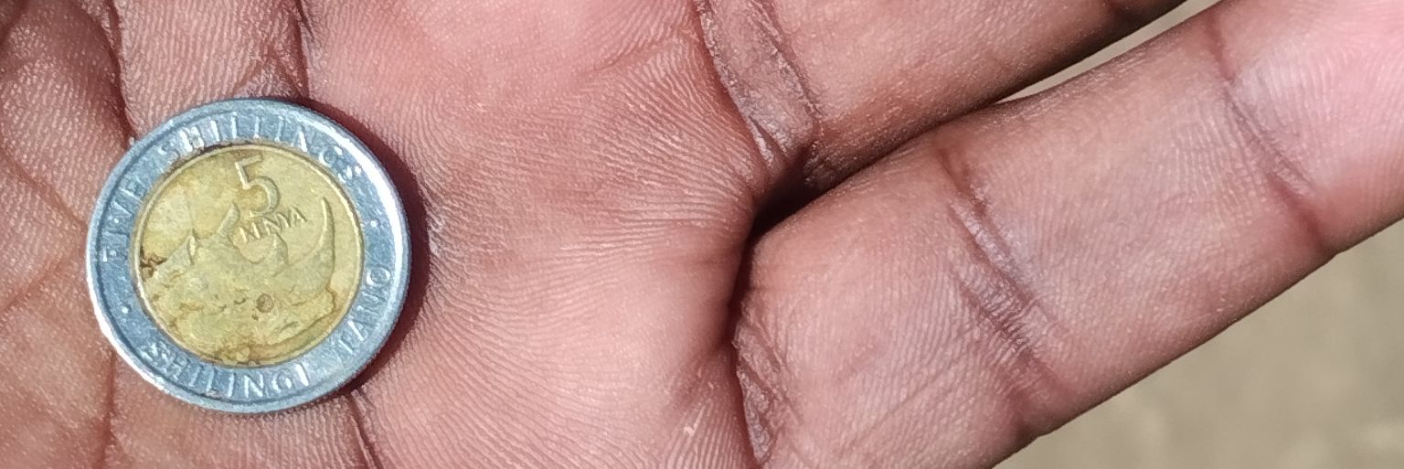 Flexor320's profile banner image