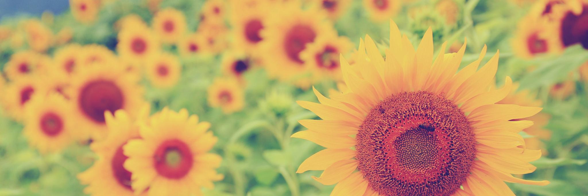 えんぴつ＠見習い投資家資産700万の主任ケアマネ banner