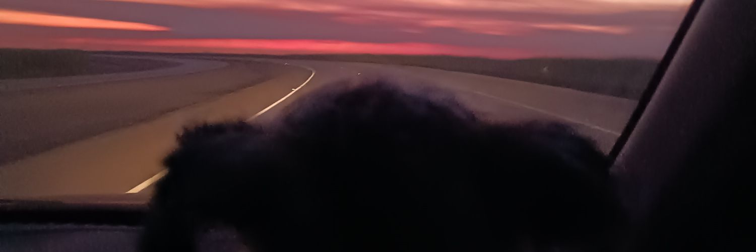 Fátima Escobar banner