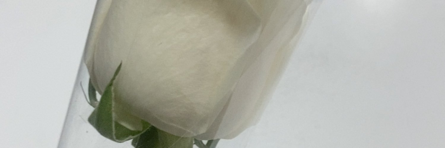 well55075470's profile banner image