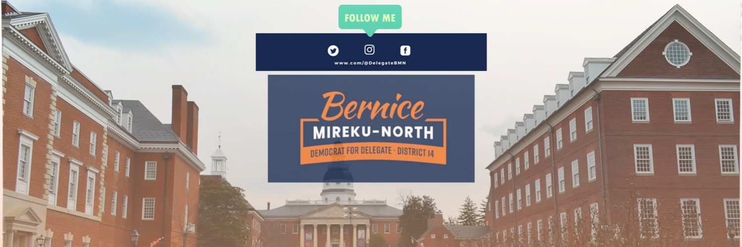 Delegate Bernice Mireku-North's banner