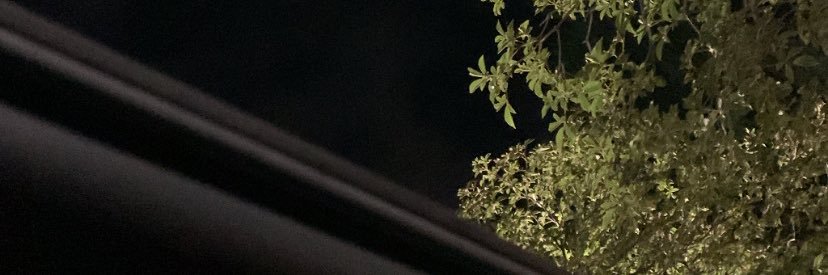 ferrazkkj's profile banner image