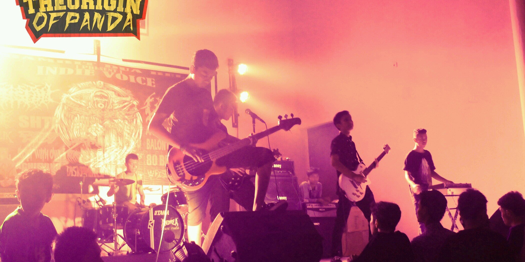 THE ORIGIN OF PANDA banner