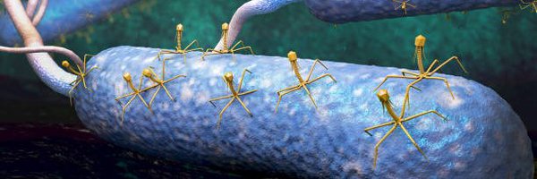 PhageEU Profile Banner