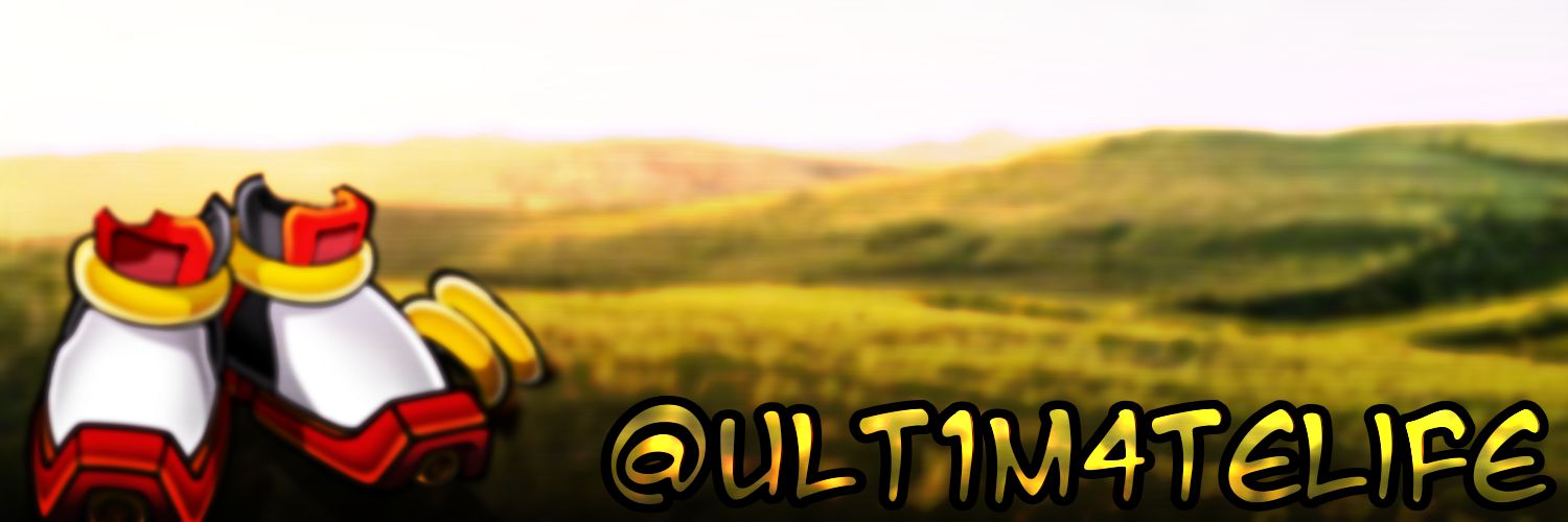 Shadow The Hedgehog banner