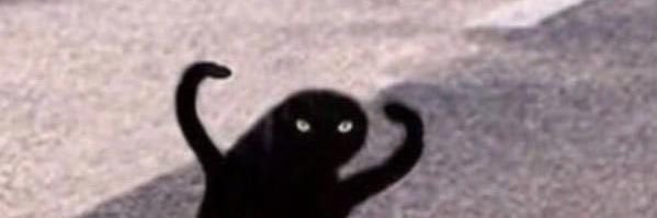 dsesaes's profile banner image