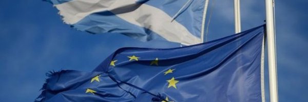 allerley Profile Banner