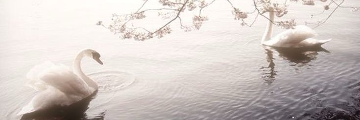 xs07ha's profile banner image