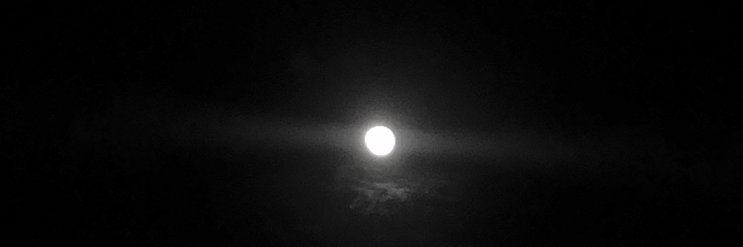 . banner