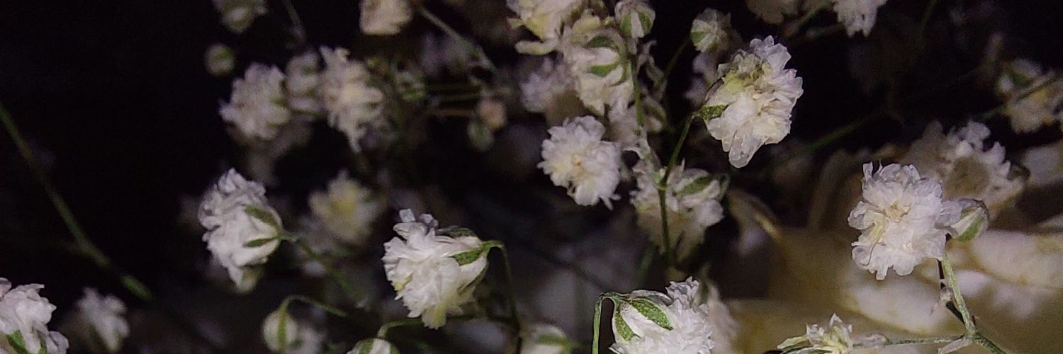 ghostpepperinos's profile banner image
