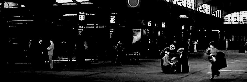 mmeiners's profile banner image
