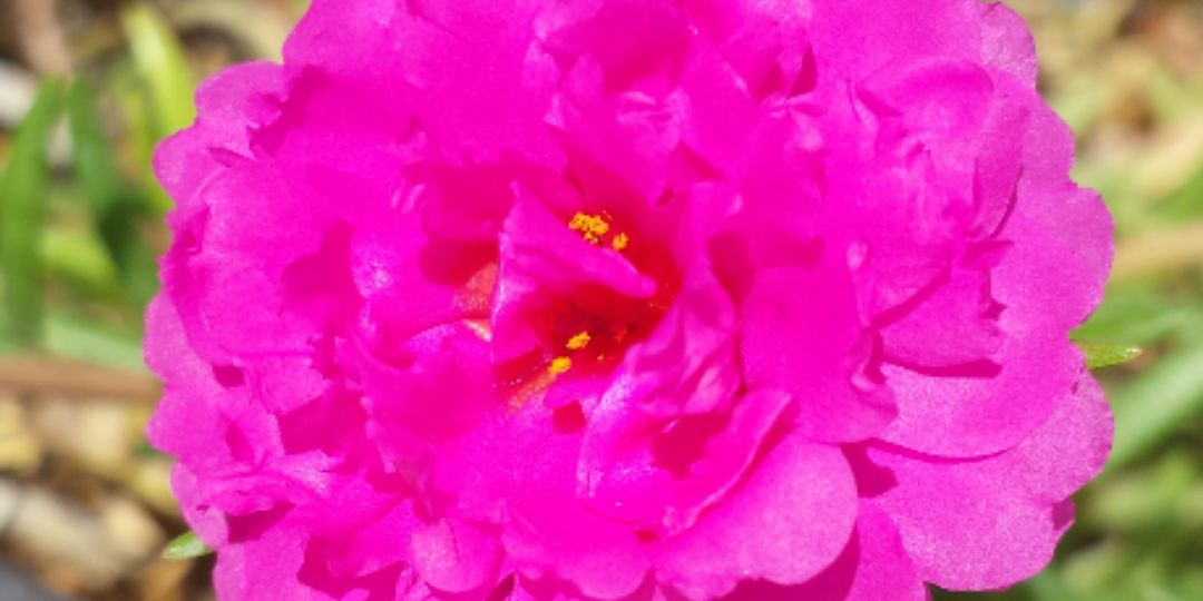marog927's profile banner image