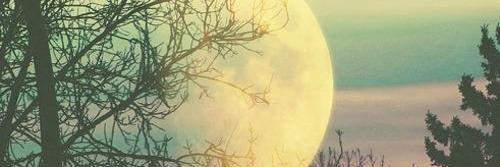 Shel_Deleon's profile banner image