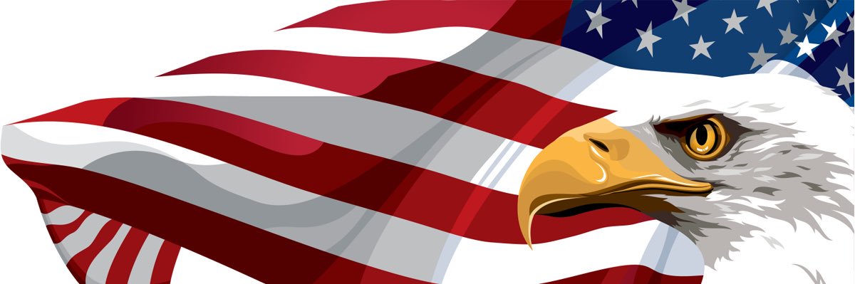 Republican Fighter's banner