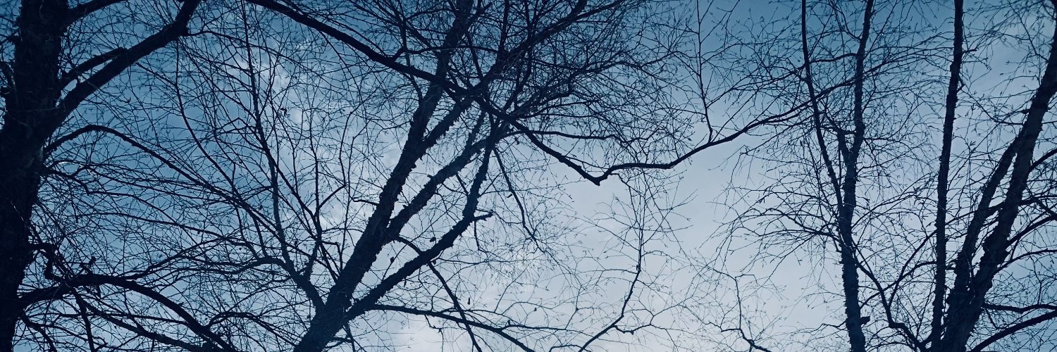 Bimala Acharya banner