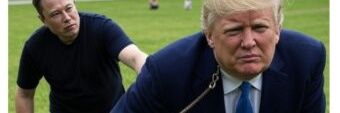 Trumps micro penis banner