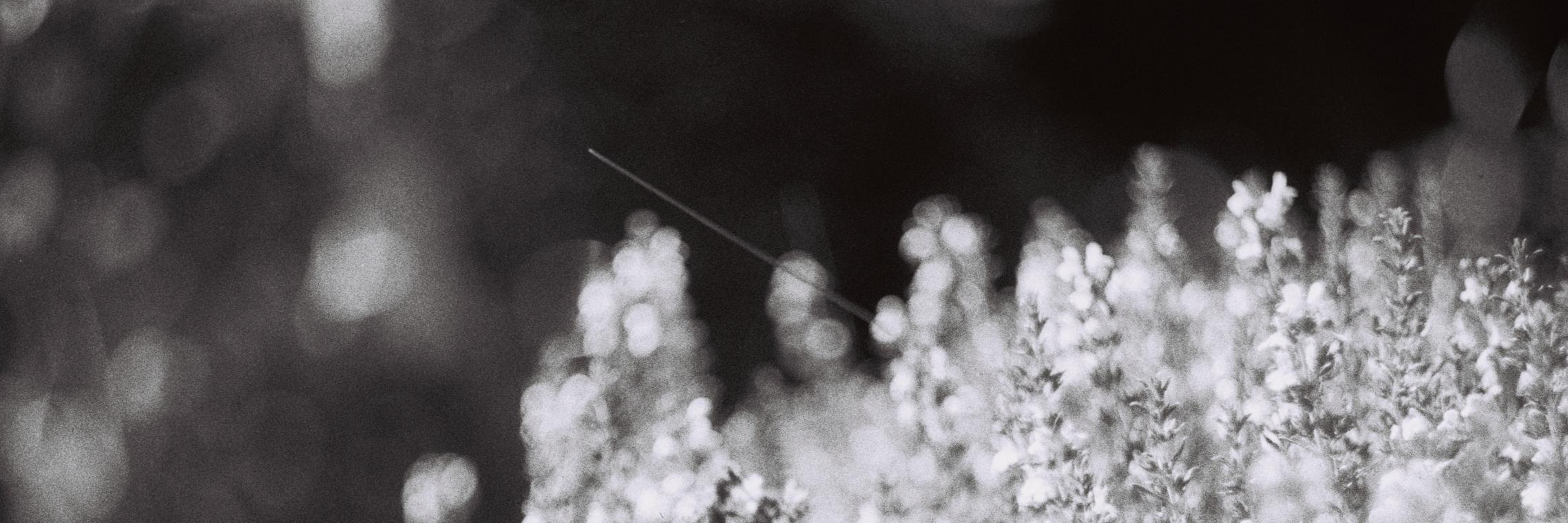 /\/\ /-\ |_| banner
