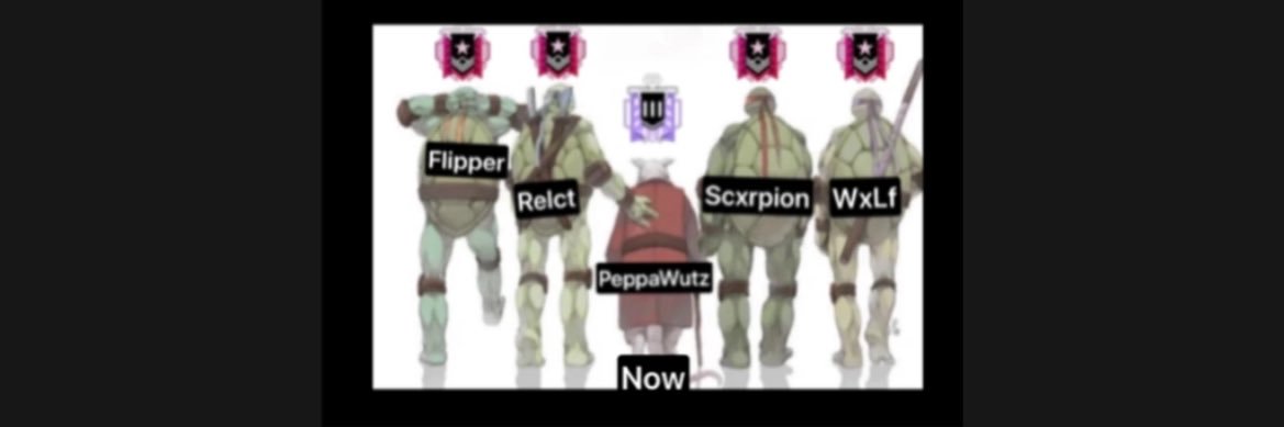 RèlçT® 🤳 banner