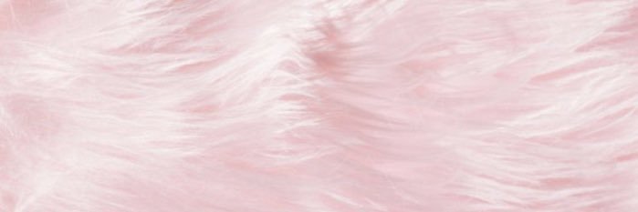 PaaulaR97's profile banner image