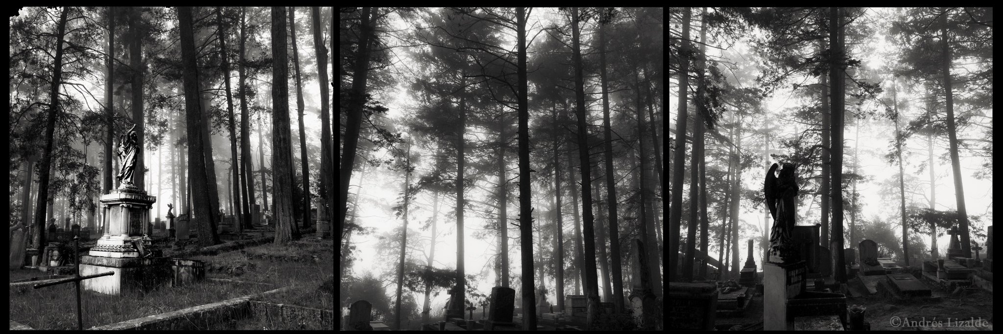 AndresLizalde's profile banner image